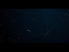 Iluminación de jardín de árboles de 10W COB