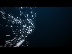 1W IP68 Luces a prueba de agua submarinas 316SS 12V 24V LED Luces de piscina 2700k - 6500k