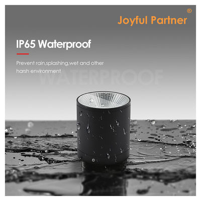 15W COB LED Downlight cilindro de montaje de la pared de la luz de diseño compacto de la superficie fijación para exteriores