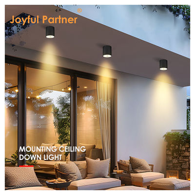 Lámpara de cilindro exterior montada en la pared Negro LED columna hacia abajo Lámpara de jardín exterior Cree COB Led 15W 3500k