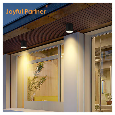 Iluminación de pared de cilindro oscuro LED para jardín exterior Iluminación diurna de pared COB Al Material con servicios OEM